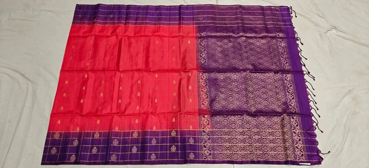 Saree 2.2